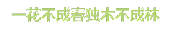 一花不成春独木不成林
