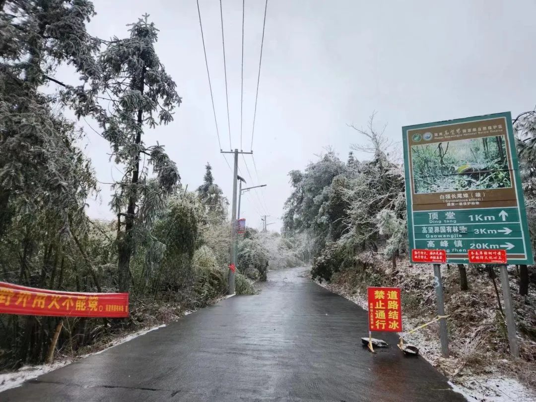 说明: 图片